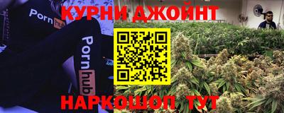 гидра Партизанск