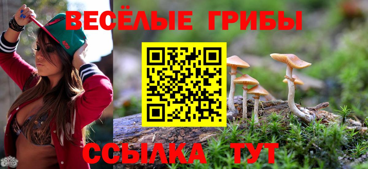 Серов  Галлюциногенные грибы ЛСД  Галлюциногенные грибы Psilocybine cubensis  Вход с VPN 