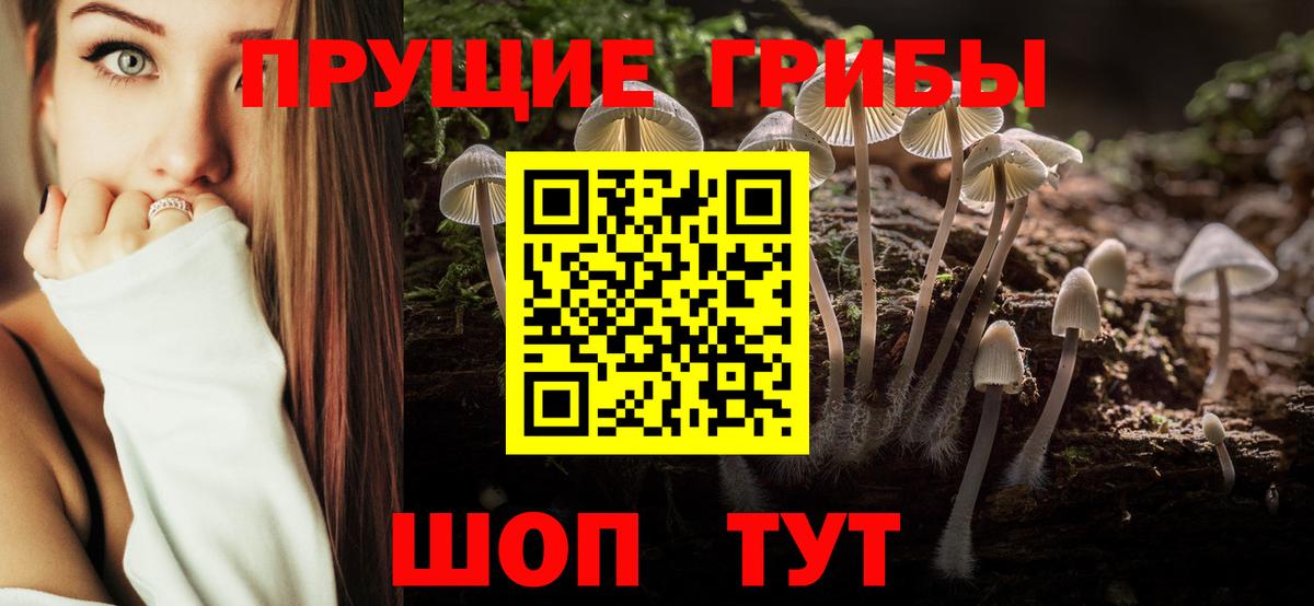 Псилоцибиновые грибы мухоморы Серов